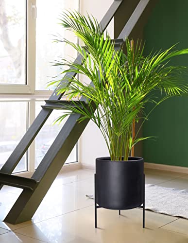 D'vine Dev Cylinder Planter Pot with Metal Stand, Black, 12 in, 96-T-B-3 - color: Black, size: Large 12 Inch