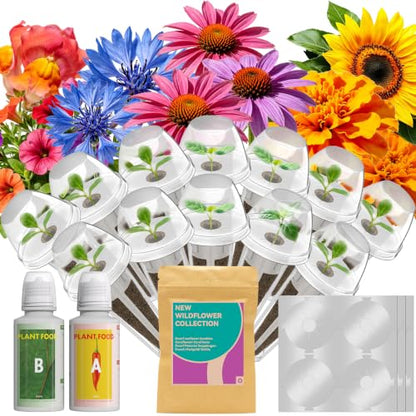 12 Pods Flower Seed Pods for AeroGarden, Ahopegarden, iDOO, MUFGA Hydroponics Growing System Indoor Gardening, 400+ Seeds, Dwarf Sunflower Bambino, French Marigold, Dahlia, Dwarf Petunia - color: 12 pods Flower