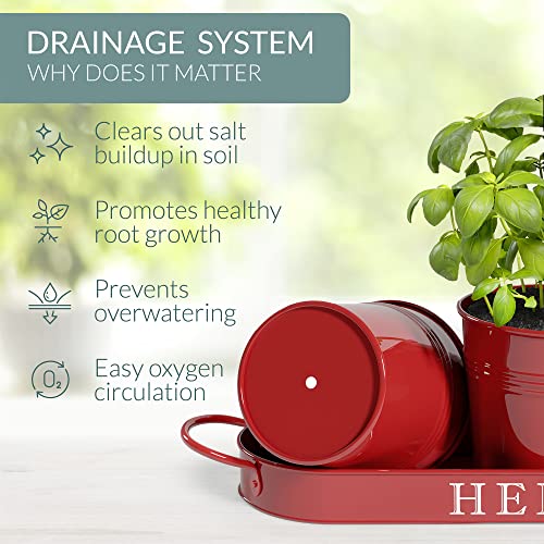 Barnyard Designs Indoor Herb Garden Planter Pots Set/3 (Brick Red) - color: Brick Red