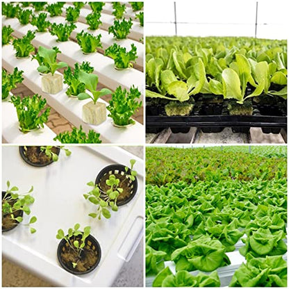 Legigo 1.2 Inch Rockwool Cubes Seed Starter Plugs for Hydroponics, 72 Plugs - color: 2 Sheet, size: 1.2" Plugs