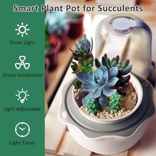 Smart Venus Fly Trap Terrarium Pot with Timer&Fan, Mini Plant Terrarium Kit