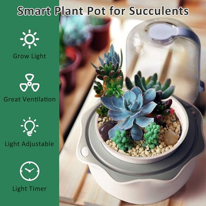 Smart Venus Fly Trap Terrarium Pot with Timer&Fan, Mini Plant Terrarium Kit