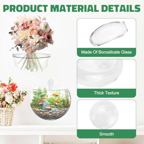 4 Pack Wall Propagation Planters, Oblate Glass Hanging Terrarium