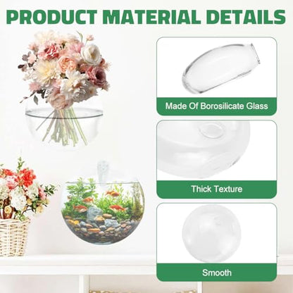 4 Pack Wall Propagation Planters, Oblate Glass Hanging Terrarium