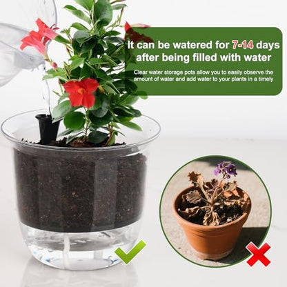 Self Watering Pots Set, Clear Self Planter Pot for Indoor Plants - size: Round, 5Pcs Large