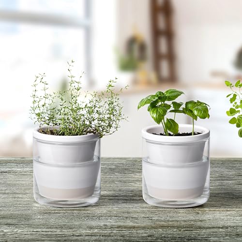 D'vine Dev Self-Watering White Terracotta Planter, 4 in, 2-Pack, 37-Y-A-2 - color: White, size: 4 Inch