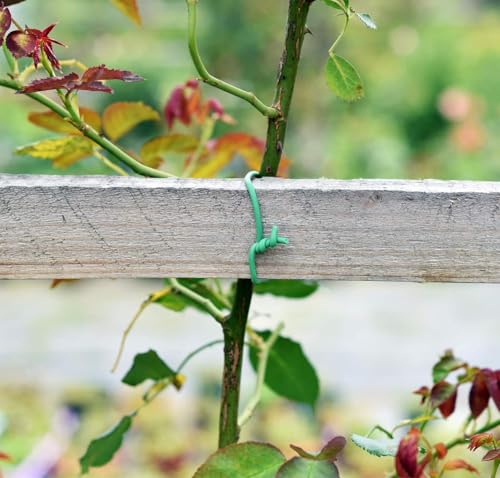 PGarden-EZ Heavy Duty Garden Plant Ties, 250 Feet Soft Twist Ties for Vines Tomatoes, Thick Green Zip Ties for Climbing Plants and Garden Twine - size: 250 feet/ 77 Meters