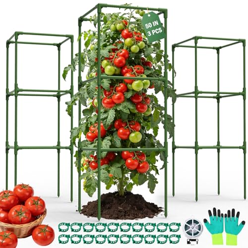 Uyittour 3 Pack Square Tomato Cages for Garden, 50" Heavy Duty Square Tomato Trellis Plant Support Cages for Raised Garden Bed Climbing Vegetables, Set with Garden Gloves, 20 Clips & 65FT Tie Wire