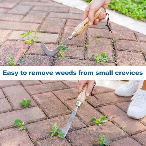 Crack Weeder, Crevice Weeding Tool, 11.2" Garden Manual Weeder - size: 11.2'' Crack Weeder