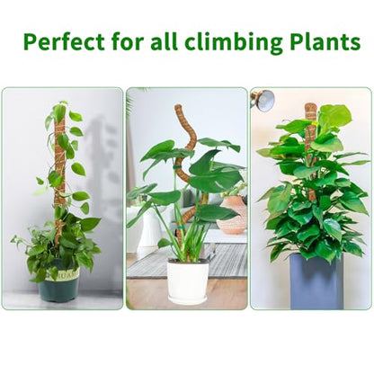 2 Pack 39'' Moss Pole for Monstera, Bendable Coco Coir Plant Support Stakes - size: 2 Pack ( 39-Inch)