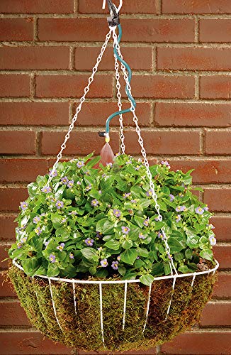 Orbit 56311 Hanging Basket Drip Irrigation Drip Watering Kit with Flex Misters (Pack of 4) - size: 4 pack, style: Without Timer