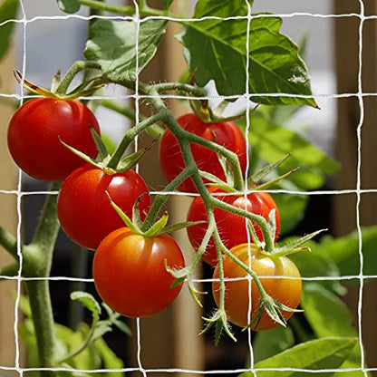 Tcamp Heavy-Duty Polyester Plant Trellis Netting 5 x 30ft (1 Pack) - size: 6" Mesh (5 Ft X 30 Ft)