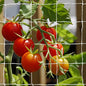 Tcamp Heavy-Duty Polyester Plant Trellis Netting 5 x 30ft (1 Pack) - size: 6" Mesh (5 Ft X 30 Ft)