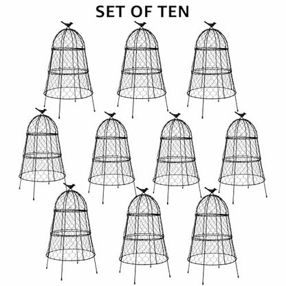 Garden Cloches for Plants, Large Plant Protectors from Animals, Pack 10 - size: Pack of 10