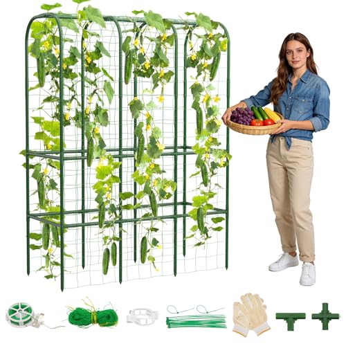 62" Tall Cucumber Trellis for Raised Bed, Garden Trellis for Climbing Plants Outdoor, U-Shape Metal Arch Vegetables Trellis Plant Support for Zucchini Squash Vines - size: 50.8*17*62inch (L*W*H)