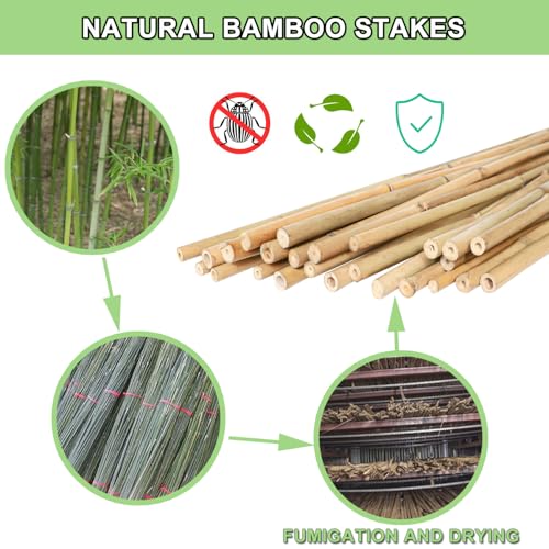 PFNRTH Bamboo Plant Stakes – 25pcs 4FT Natural Bamboo Garden Stakes