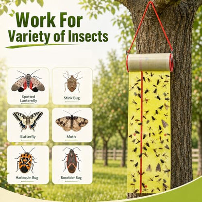 15 Rolls Sticky Fly Trap 30 ft Each, Fluorescent Green Yellow - color: Fluorescent Green,Fluorescent Yellow
