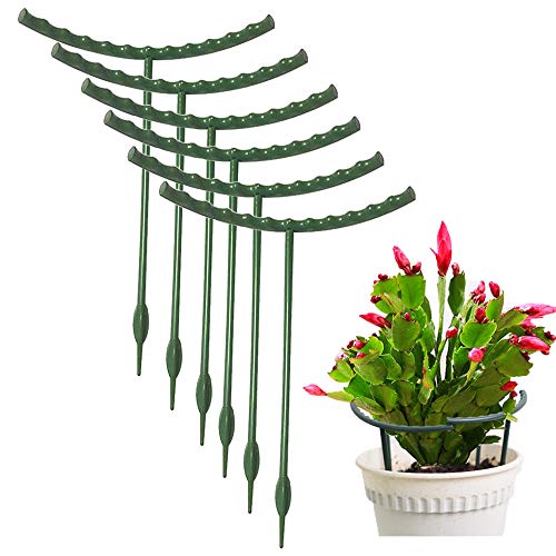 Mwellewm Plant Stakes Small Plant Supports for Indoor Plants Holder Sticks - size: 5.7 x 5.9inch