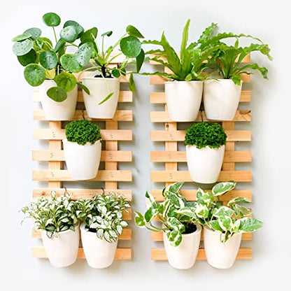 LaLaGreen Self-Watering Wall Planters (4in, 10 Pack) White Indoor Plants - size: 4" (10 cm)