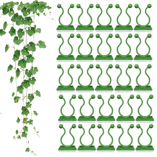 100PCS Wall Clips for Climbing Plants, Flexible Plant Hooks for Vines, Easy Installation and Self-Adhesive Plant Vine Wall Clips for Indoor Outdoor Decoration and Cable Wire Fixing, Green