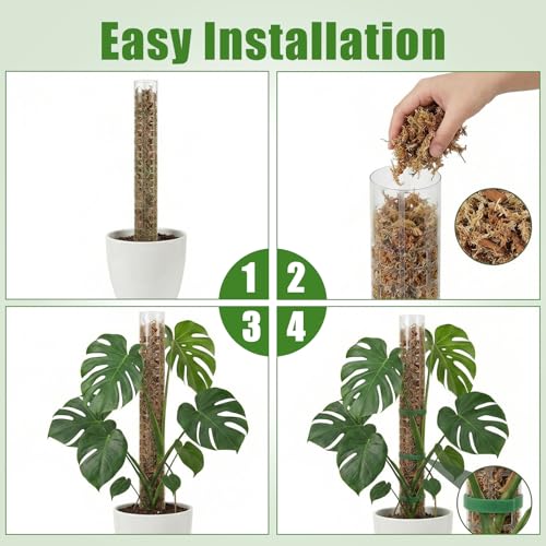 6 Pcs Plastic Moss Pole for Monstera 6×24'' Plant Poles for Climbing Plants Shaped Plant Support Indoor Use with Sphagnum Moss for Climbing Plants Work 24 Inch