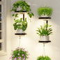 LASZOLA Plant Hanger Holder Shelf Wall Indoor with Lights, 2 Pcs Black - color: Dark Grey, size: 2