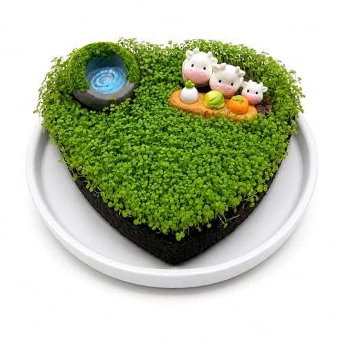 Seed Starter Plugs Kit, Heart-Shaped Peat Moss & Coco Coir Plant Plugs with Tray and Mini Decorations, Grow Plugs for Seed Starting, Germination and Rooting