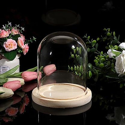 JUXYES 4.5x6 Inch Clear Glass Display Dome Cloche with Maple Wood Base