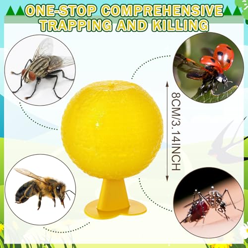 Qualirey 10 Set Fruit Fly Sticky Trap Balls Fungus Gnat Killer, Yellow - color: Yellow