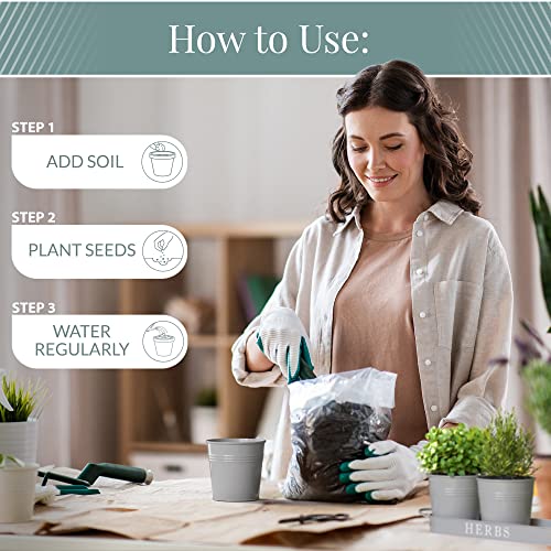 Barnyard Designs Indoor Herb Garden Planter Pots Set/3 (Cool Grey) - color: Cool Grey