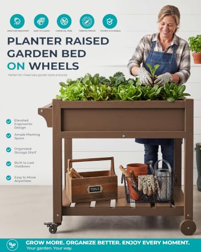 SERWALL Raised Garden Bed on Wheels with Storage Shelf,Brown - color: Brown, size: 1 Pack