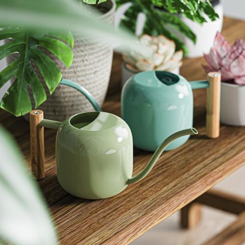 Green Moon 1.2L/41oz Metal Metal Watering Can with Long Spout, Mint Green - color: Mint Green