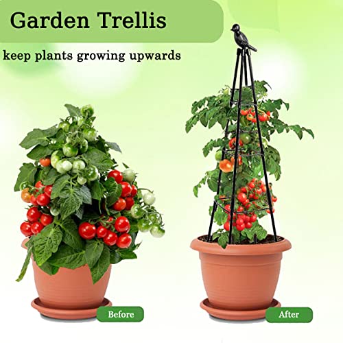 2 Pack Garden Trellis for Climbing Plants,63inch Tall Plants Trellis Support with Adjustable Stake Arms,Plastic Coated Rustproof Metal Pipe Supports for Outdoor Indoor, Potted Plants, Tomato, Rose - size: 2 Pack