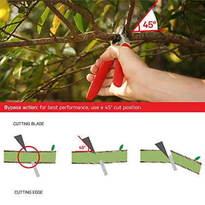 Eden 39002 Adjustable Bypass Pruning Shears, 7/8 inch cutting diameter for Stems and Branches - size: 7/8 Inch Diameter