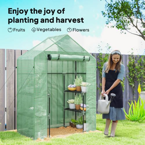 Greenhouse - color: Green