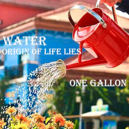 Metal Watering Can 1 Gallon for Indoor and Outdoor Plants Red - color: 1 Gallon Red