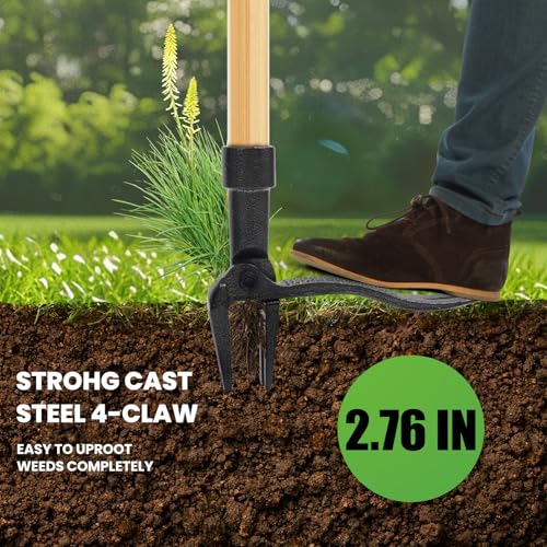 Weed Puller Tool Stand Up Weed Puller Tool with 3-Section Bamboo Handle & 4-Claw Steel Head Manual Weeder for Lawn and Garden (Bamboo)