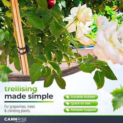 Anchor Bands for Trellising – 110-Pack 5 cm/1.96 in Rubber Vine Ties, UV-Protected Bands: Grapevines, Trees & Climbing Plants – Tool-Free Loop-and-Anchor Design for Install, Weatherproof - size: 110 pack / 1.96"