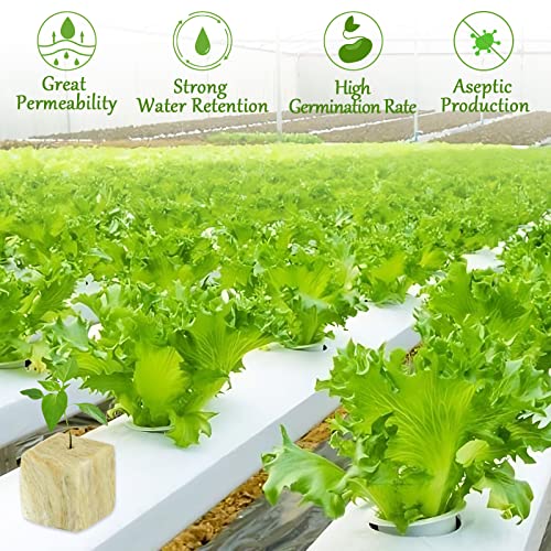 Legigo 1.2 Inch Rockwool Cubes Seed Starter Plugs for Hydroponics, 144Plugs - color: 4 Sheet, size: 1.2" Plugs
