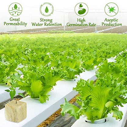 Legigo 1.2 Inch Rockwool Cubes Seed Starter Plugs for Hydroponics, 144Plugs - color: 4 Sheet, size: 1.2" Plugs