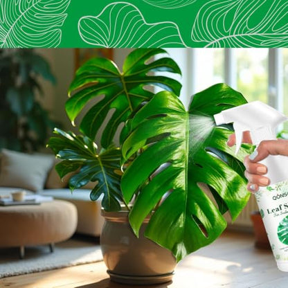 Leaf Shine Spray - Ready-to-Use Gloss & Polish for Indoor Plants