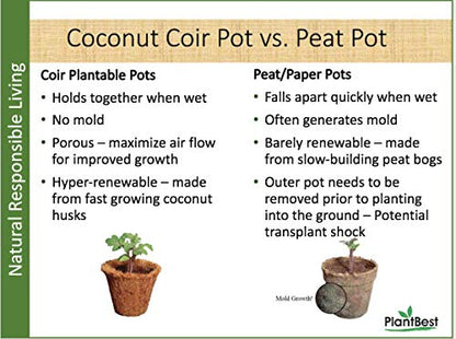 Coconut Coir Greenhouse Kit 50 pots
