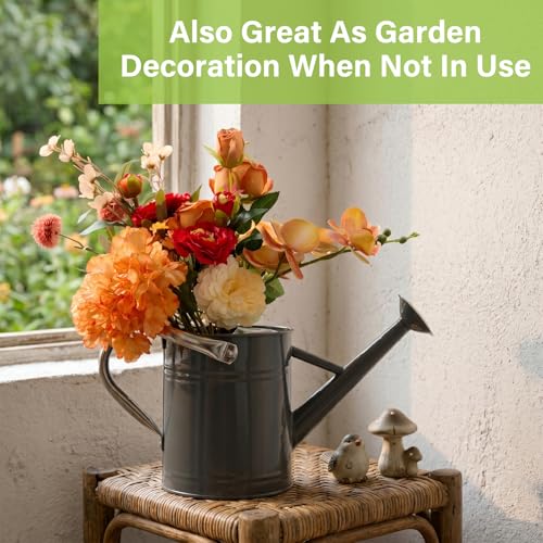 1 Gallon Metal Watering Can for Outdoor&Indoor Plants - color: Gray