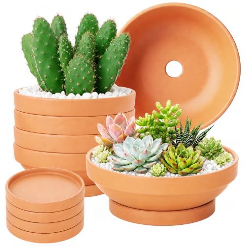Laerjin Terracotta Pots, 6.43 Inch Shallow Planters with Saucers, 6 Pack - size: 6.43 inch+saucer