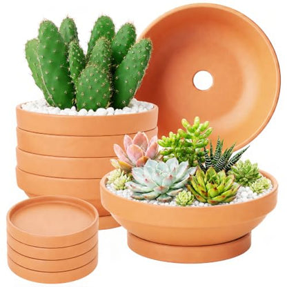 Laerjin Terracotta Pots, 6.43 Inch Shallow Planters with Saucers, 6 Pack - size: 6.43 inch+saucer