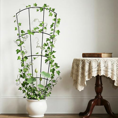 Thealyn 56" Tall Metal Plant Trellis for Climbing Plants, 8 Pack, Black - color: Black, size: 56 inch-8 Pack