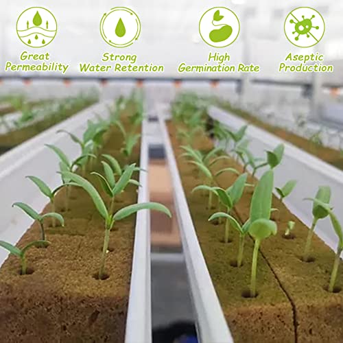 Legigo 1.2 Inch Rockwool Cubes Seed Starter Plugs for Hydroponics, 72 Plugs - color: 2 Sheet, size: 1.2" Plugs