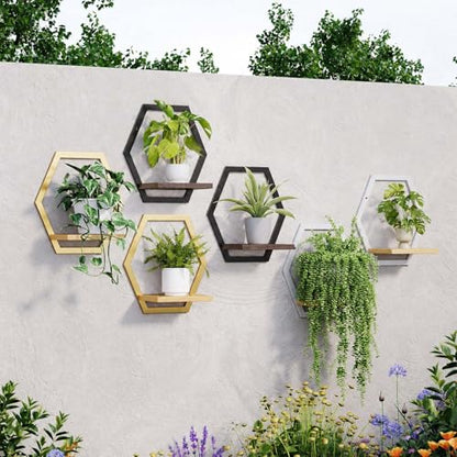2 Pack Hexagon Wall Plant Stands, 9 Inch Walnut Wood Shelf Black - color: 2 Pack Black-a