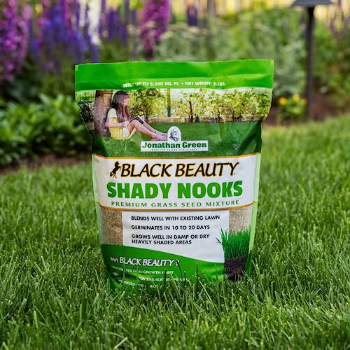 Jonathan Green Black Beauty Shady Nooks Grass Seed - 3 lb - size: 3 lb