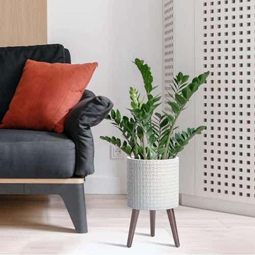 D'vine Dev Planter Pot with Wood Stand, 10 in, Matte White, 88-Z-B-1 - color: Matte White, size: Medium